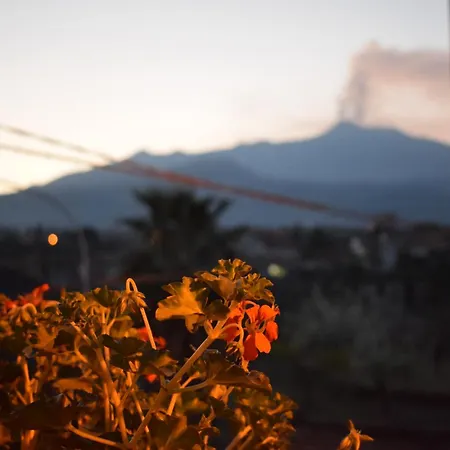 L' Aquila Dell' Etna Couette-café