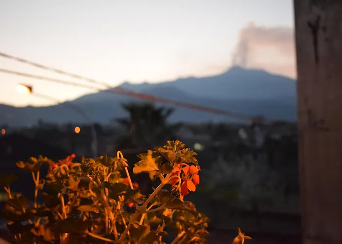 L' Aquila Dell' Etna Couette-café